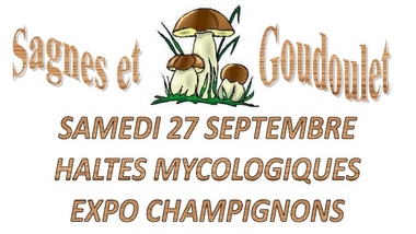 2014-09-27-haltes-expo-champignons.jpg