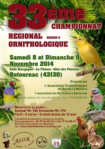 2014-11-08-championat-oiseaux.jpg