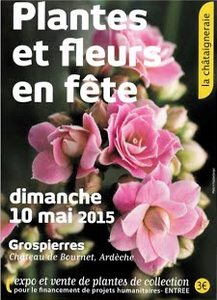 2015-05-10-fete-plantes-grospierres.jpg