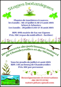 2015-07-03-mez-environnement-activites.jpg