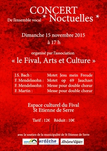 2015-11-15-concert-noctuelles-fival.jpg