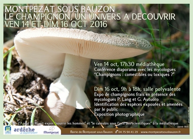 2016-10-14-16-decouverte-champignons-montpezat.jpg