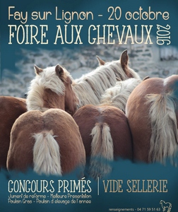 2016-10-20-foire-chevaux-fay-sur-lignon.jpg