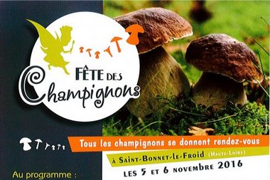 2016-11-05-06-fete-champignons-st-bonnet.jpg