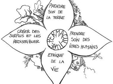 2017-11-25-cours-formations-permaculture.jpg