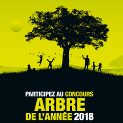 2018-03-10-concours-arbre-2018.png