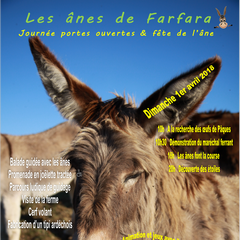 2018-04-01-fete-de-l-ane-ardeche.png