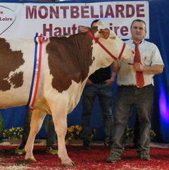 2018-04-07-election-de-miss-montbeliarde.jpg