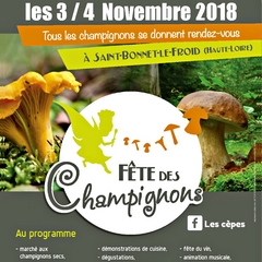 2018-11-04-05-fete-champignons-st-bonnet.jpg