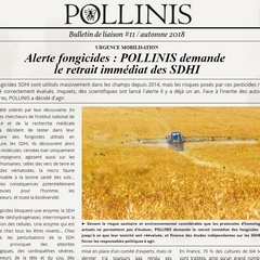 2018-11-17-bulletin-de-pollinis.jpg