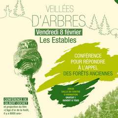 2019-02-08-conferences-veillees-arbres-parc.jpg