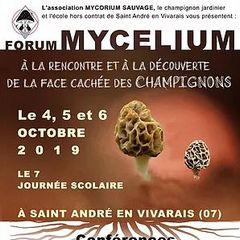 2019-10-04-06-forum-champignons.jpg