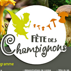 2019-11-02-fete-champignons-st-bonnet.jpg