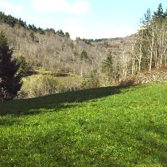 2020-01-24-agriculture-forets-h-loire.jpg