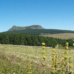 2020-11-02-operation-grand-site.jpg