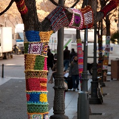 2021-02-25-tricot-urbain-st-martin.jpg