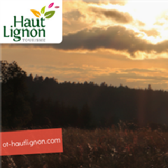 2021-07-06-office-t-haut-lignon.png