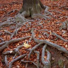 2021-10-02-sortie-nature.jpg