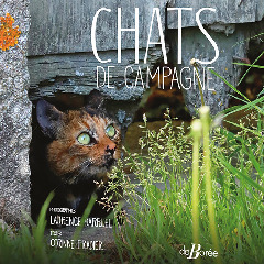 2021-11-04-parution-livre-chats.jpg