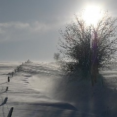 2022-01-30-rando-neige-estables.jpg