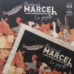 2022-02-02-bonjour-marcel.jpg