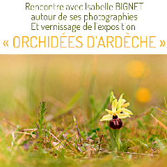2022-06-11-exposition-orchides.jpg