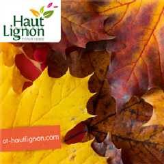 2022-11-01-ot-haut-lignon.png