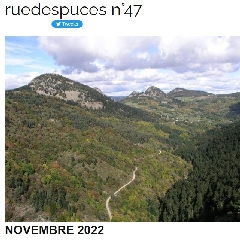 2022-11-15-ruedespuces.jpg