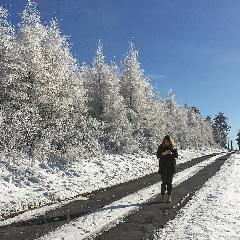 2023-01-01-ardeche-hautes-vallees.jpg