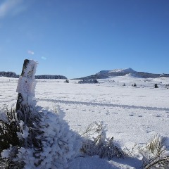 2023-02-06-massif-central-raquettes.jpeg