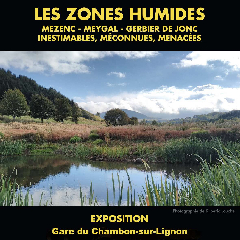 2023-07-19-exposition-zones-humides.jpg