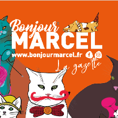 2023-11-28-bonjour-marcel.png