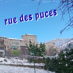 2024-01-15-ruedespuces.jpg