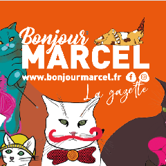 2024-01-18-bonjour-marcel.png