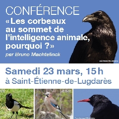 2024-03-23-lpo-conference.jpg