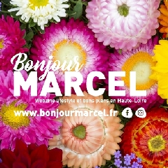 2024-05-15-bonjour-marcel.jpg