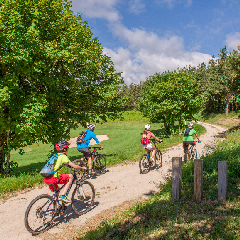 2024-06-15-ot-haut-lignon.jpg